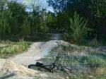 the norco manik wipeout
