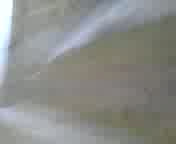 Must Watch Video