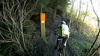 hamsterley DH