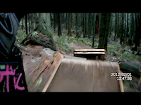 Swann Cam: Heckel at Woodlot - Luke Stanfield
