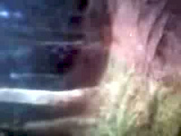 Must Watch Video