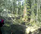 Must Watch Video