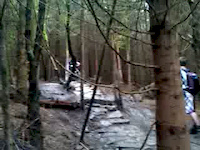 Must Watch Video