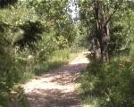 Frognerseteren DH/Freeride