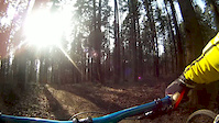 Must Watch Video