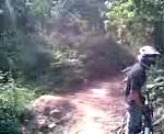 Dirt Carvalhos