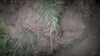 Must Watch Video