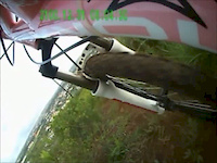 Colline 2012