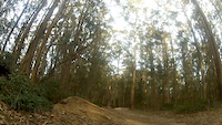 Must Watch Video