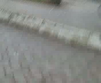 Must Watch Video