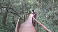 Mountain biking with my brother