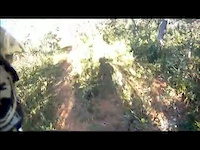 Must Watch Video