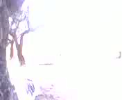 Must Watch Video