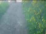 Must Watch Video