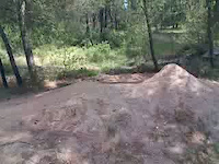 Must Watch Video