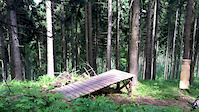 Dzikowiec DH