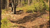 Trails Be Screamin Shorty