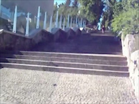 nogueira