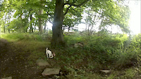 Must Watch Video
