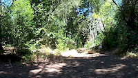Jack London DH w/New Lower Trail