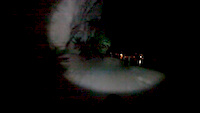 Pregasina by night