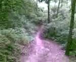 Downhill