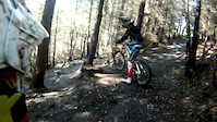 Hamsterley DH