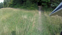 Must Watch Video
