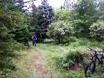 look back to berm - medicore