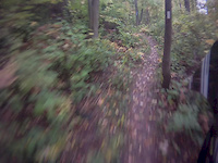 Local Track