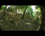 test video *1