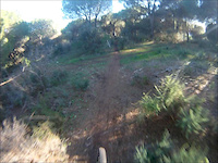 Mata do Paraíso DH - Paradise Riders com...