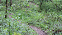 Bewerbung von Nadja zum Trek Gravity Girl