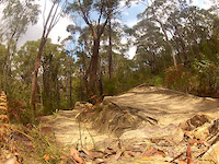 Warrimoo