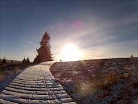 A Winter Ride at Kielder