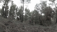 Back Yard mini DH