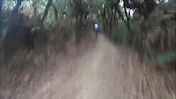 Must Watch Video