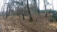 Must Watch Video