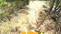 Dirty Monkey at Mt. Swansea
