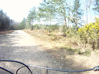 Swinley ''The Big Dipper''