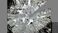 Must Watch Video