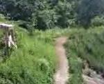Must Watch Video