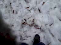 Must Watch Video