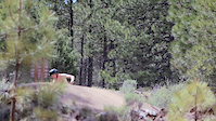 Life in the Dirt