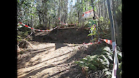 Must Watch Video
