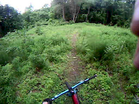 Another wee trail