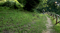 Trails near home
