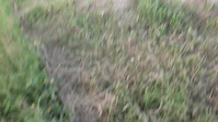 Must Watch Video