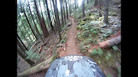 Cabin, Slither, Catnip Ride