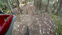 Hartland Bike Park - Jelly, Lumpy, Daddy